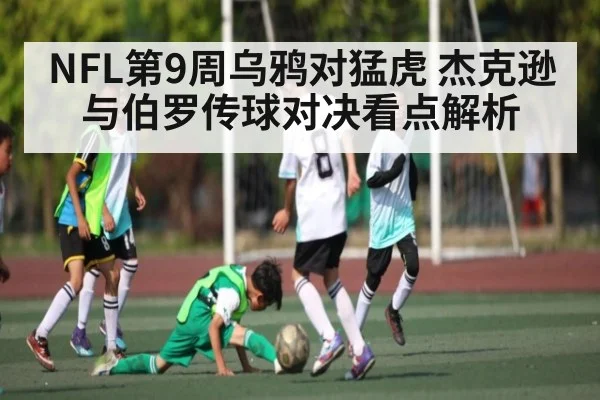 NFL第9周乌鸦对猛虎 杰克逊与伯罗传球对决看点解析（kaiyun）